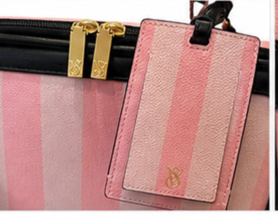 Victoria’s Secret Pink Stripe Carry On Luggage 22” Spinner Travel Bag