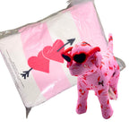 Victoria's Secret 2025 Valentine’s Collection Dog Mini Plush & Sherpa Throw Blanket (Blanket & Dog Plush)