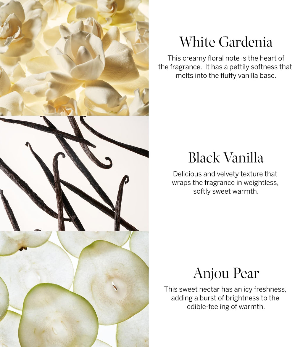 Victoria's Secret Tease Candy Noir Eau de Parfum