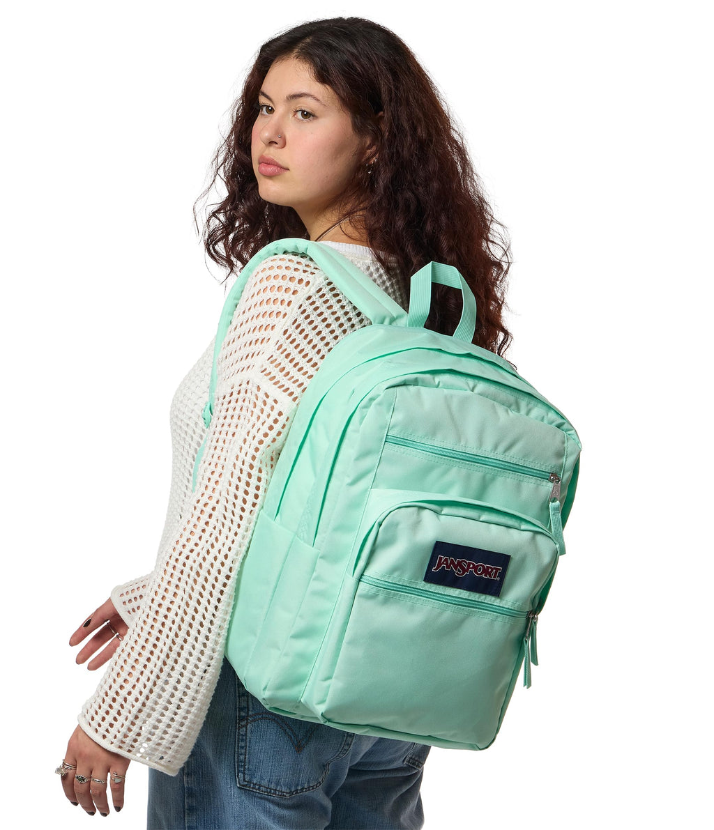JanSport Laptop Backpack - Computer Bag