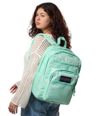 JanSport Laptop Backpack - Computer Bag